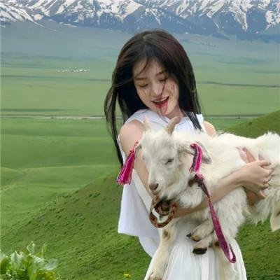 加油七条友